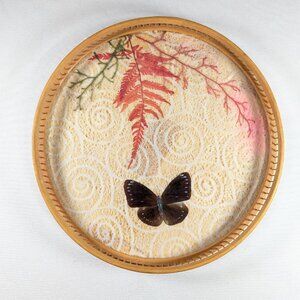 Vintage taxidermy butterfly serving tray, mcm bamboo hostess tray